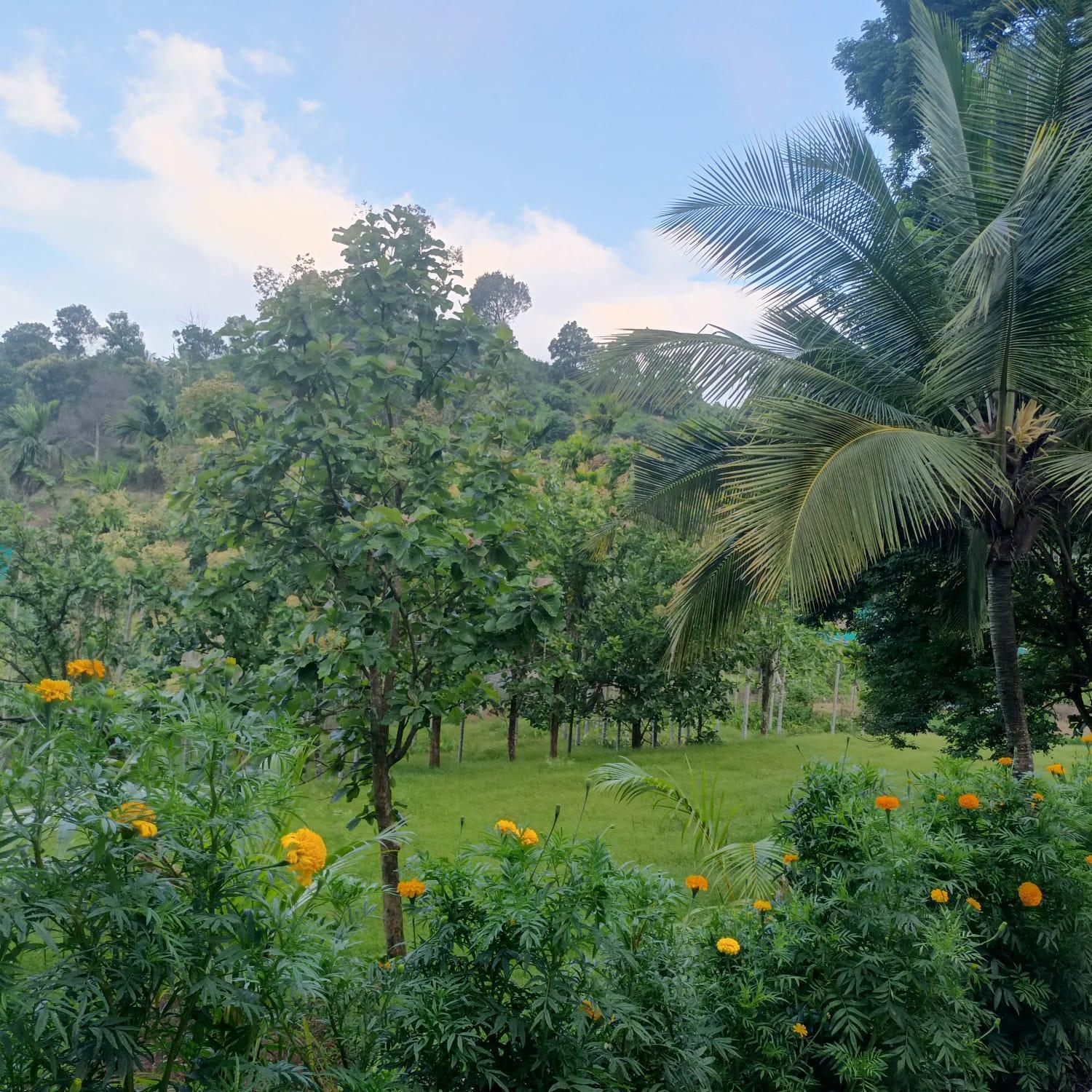 Padavayal Greens Attappādi Extérieur photo